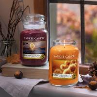 Yankee Candle LIMITED EDITION Sun-Kissed Thistle Large Jar Extra Image 1 Preview